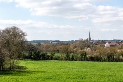 Images for Thaxted